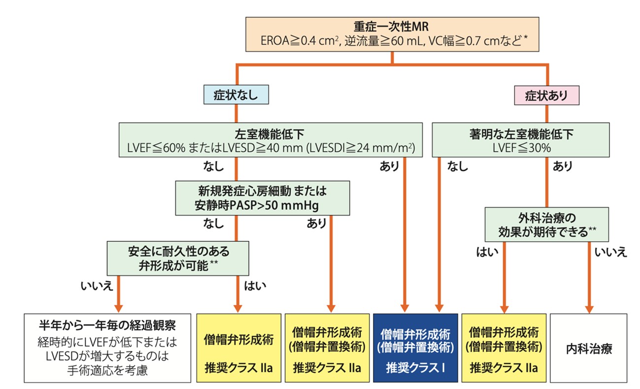 僧帽弁複合体に器質的病変がないもの(二次性)