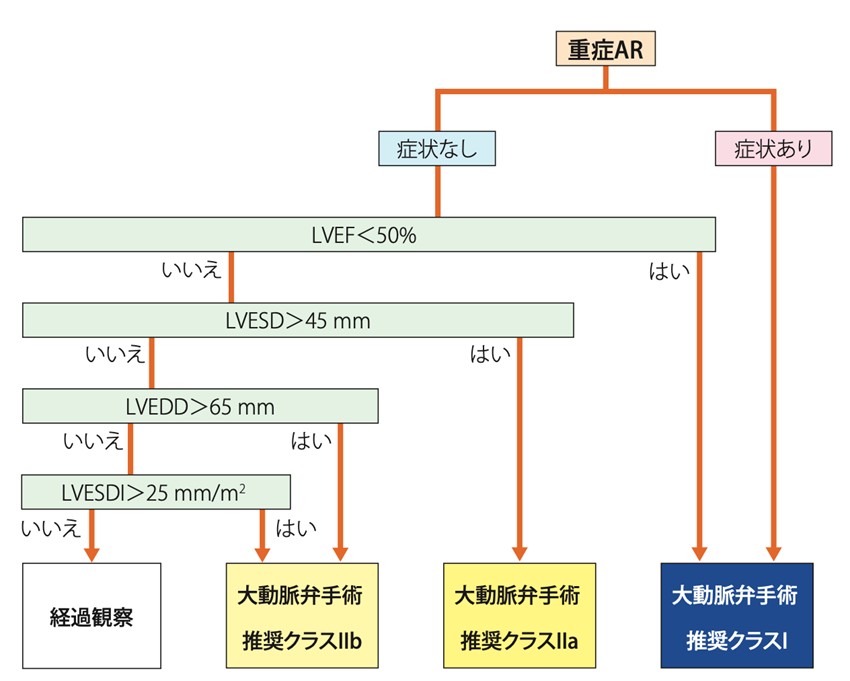 大動脈弁閉鎖不全症