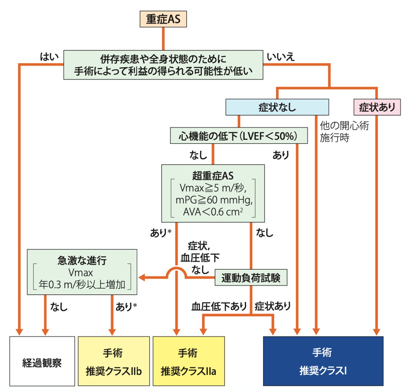 経カテーテル的大動脈弁置換術(TAVI)