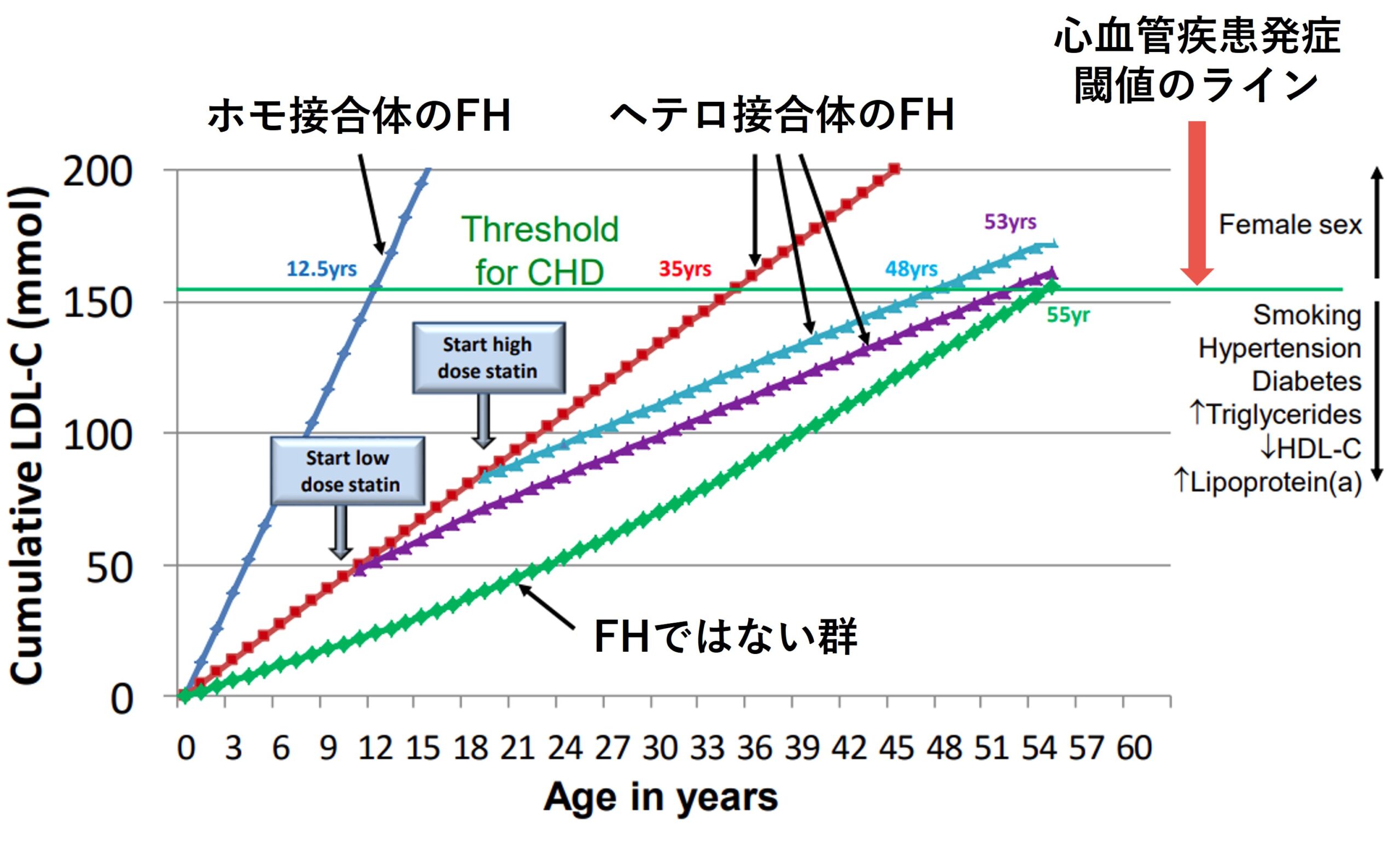 家族性高コレステロール血症とは？