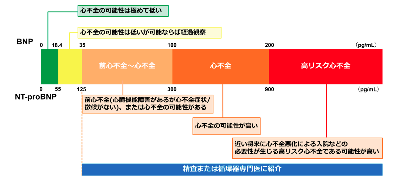 心不全ステージD